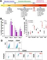 CD144 (VE-cadherin) Antibody in Flow Cytometry (Flow)