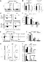 CD150 Antibody in Flow Cytometry (Flow)