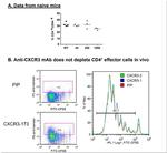 CD183 (CXCR3) Antibody in Flow Cytometry (Flow)