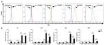 CD195 (CCR5) Antibody in Flow Cytometry (Flow)