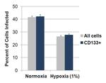 CD201 (EPCR) Antibody in Flow Cytometry (Flow)