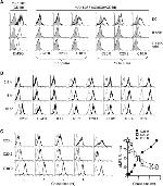 alpha GalCer:CD1d Complex Antibody in Flow Cytometry (Flow)