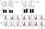 KLRG1 Antibody in Flow Cytometry (Flow)