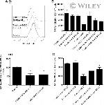 CD279 (PD-1) Antibody in Flow Cytometry (Flow)