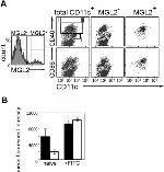 CD301b (MGL2) Antibody in Flow Cytometry (Flow)