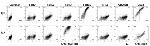 CD307d (FcRL4) Antibody in Flow Cytometry (Flow)