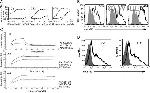 CD366 (TIM3) Antibody in ELISA (ELISA)