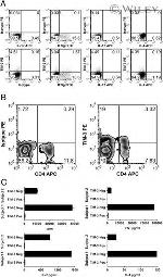 CD366 (TIM3) Antibody in Flow Cytometry (Flow)