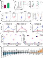 GILZ Antibody in Flow Cytometry (Flow)