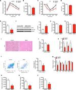 F4/80 Antibody in Flow Cytometry (Flow)