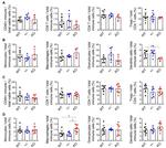 FOXP3 Antibody in Flow Cytometry (Flow)