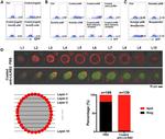 CD85d (ILT4) Antibody in Flow Cytometry (Flow)