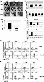 CD326 (EpCAM) Antibody in Flow Cytometry (Flow)