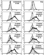 FCRLA (FREB) Antibody in Flow Cytometry (Flow)