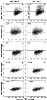 FCRLA (FREB) Antibody in Flow Cytometry (Flow)