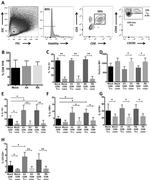 CD8a Antibody in Flow Cytometry (Flow)