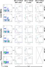 NK1.1 Antibody in Flow Cytometry (Flow)