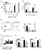 iNOS Antibody in Flow Cytometry (Flow)