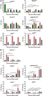 Ly-6G/Ly-6C Antibody in Flow Cytometry (Flow)