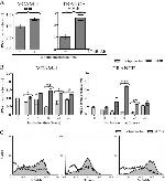 CD254 (RANK Ligand) Antibody in Flow Cytometry (Flow)