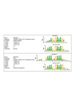 Blimp-1 Antibody in ChIP Assay (ChIP)