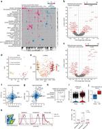 MHC Class I (H-2Kd/H-2Dd) Antibody in Flow Cytometry (Flow)