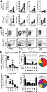 IL-1 alpha Antibody in Flow Cytometry (Flow)