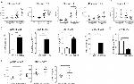 TNF alpha Antibody in Flow Cytometry (Flow)