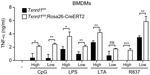 TNF alpha Antibody in ELISA (ELISA)