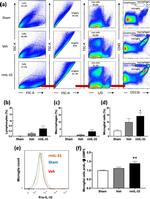 IL-1 beta (Pro-form) Antibody in Flow Cytometry (Flow)