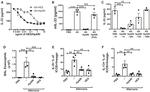 IL-13 Antibody in Flow Cytometry (Flow)