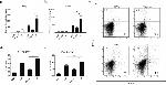 IL-17A Antibody in Flow Cytometry (Flow)