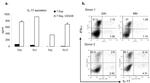 IL-17A Antibody in Flow Cytometry (Flow)