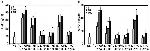 IL-17A Antibody in ELISA (ELISA)