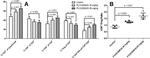 IFN gamma Antibody in Flow Cytometry (Flow)