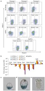 SSEA1 Antibody in Flow Cytometry (Flow)