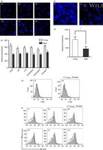 CD282 (TLR2) Antibody in Flow Cytometry (Flow)