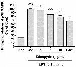 Phospho-p38 MAPK (Thr180, Tyr182) Antibody in Flow Cytometry (Flow)