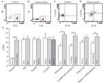 CD185 (CXCR5) Antibody in Flow Cytometry (Flow)