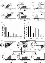 SOX11 Antibody in Flow Cytometry (Flow)