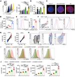 E4BP4 (NFIL3) Antibody in Flow Cytometry (Flow)