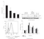 AHR Antibody in Flow Cytometry (Flow)