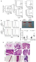 IRF4 Antibody in Flow Cytometry (Flow)