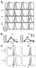 IRF8 Antibody in Flow Cytometry (Flow)