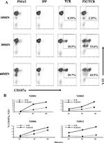 TCR gamma/delta Antibody in Flow Cytometry (Flow)