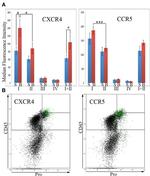 CD184 (CXCR4) Antibody in Flow Cytometry (Flow)