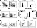 CD117 (c-Kit) Antibody in Flow Cytometry (Flow)