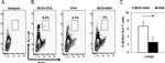 CD62L (L-Selectin) Antibody in Flow Cytometry (Flow)