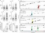 CD4 Antibody in Flow Cytometry (Flow)