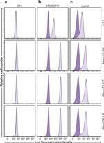 Human Serum Albumin Antibody in Flow Cytometry (Flow)